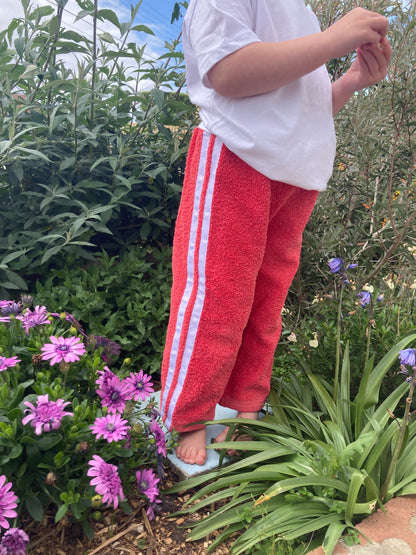 Terry Pant