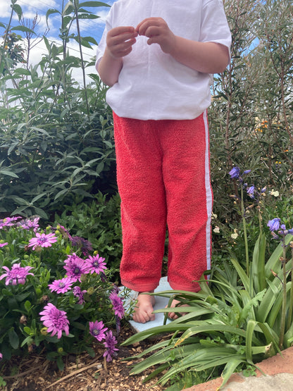 Terry Pant