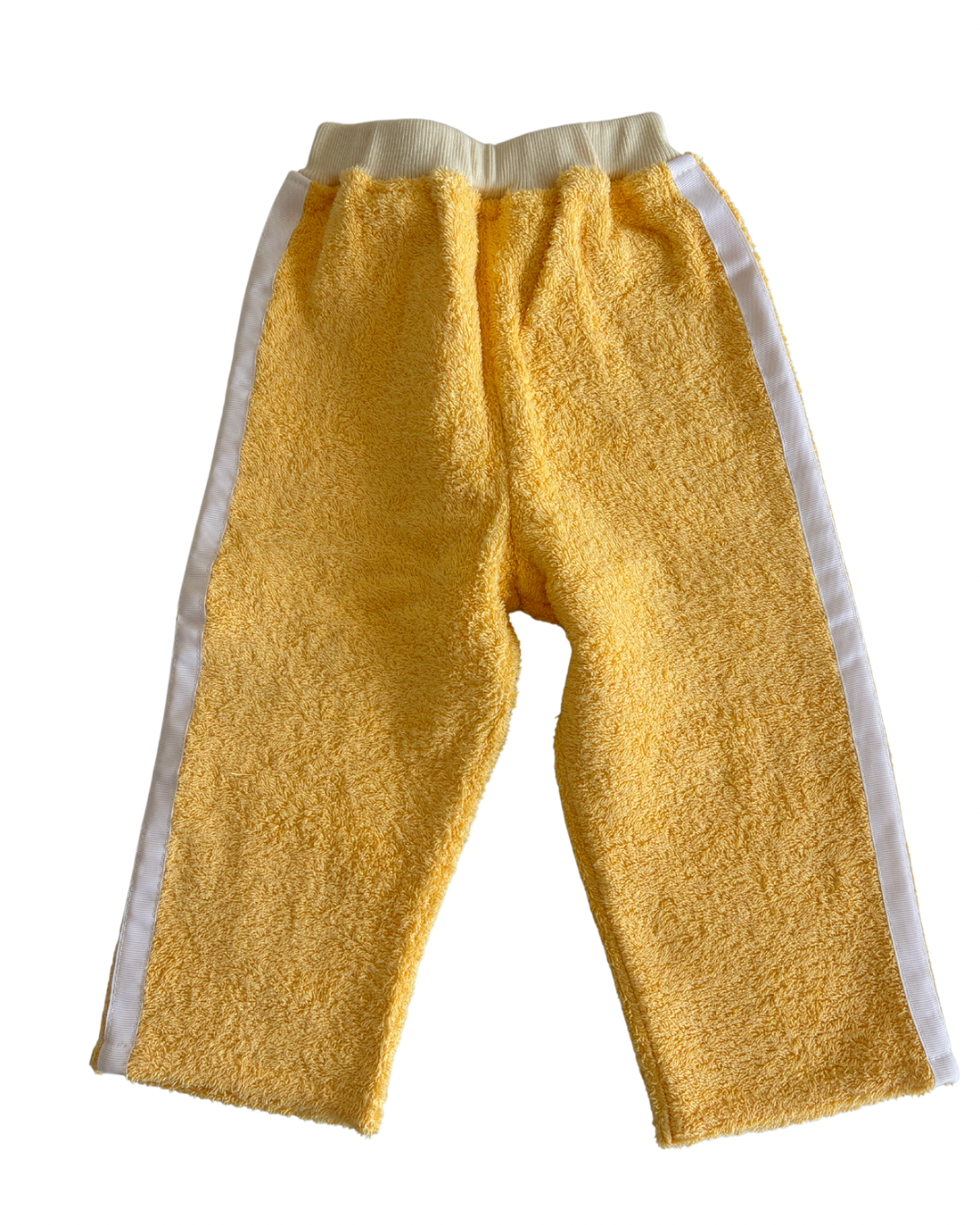 Terry Pant