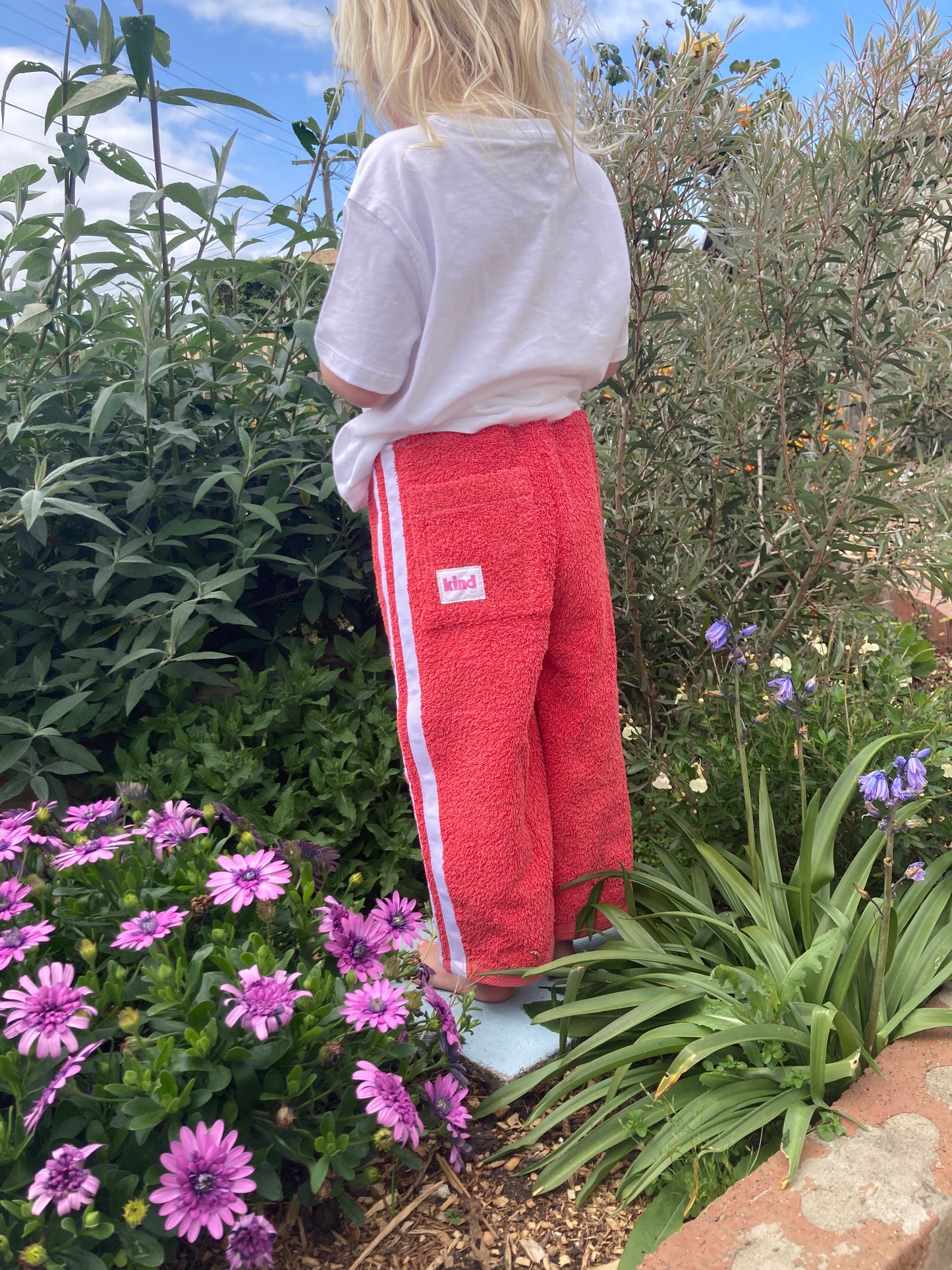 Terry Pant
